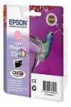  EPSON -,   C13T08064011